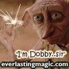 dobby 'I'm dobby, sir'