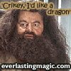 hagrid 'crikey, I'd like a dragon'