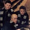 draco and gang