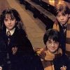 gryffindor trio