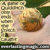snitch 'a game of quidditch only ends'