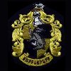 hufflepuff logo sewn
